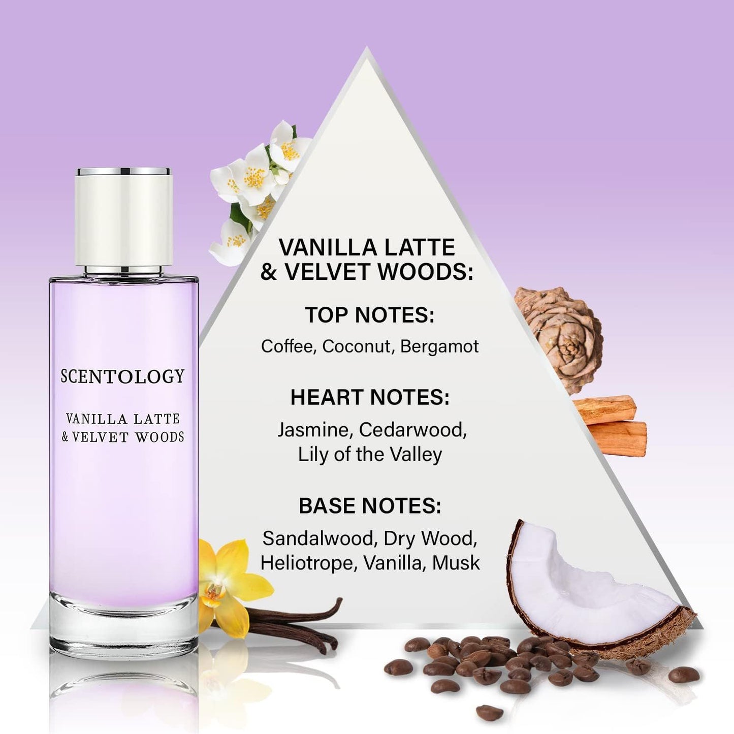 Scentology Vanilla Latte and Velvet Woods Perfume for Women, Eau De Parfum 100ml